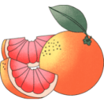 Fruits Name in English