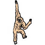 mammals name in English