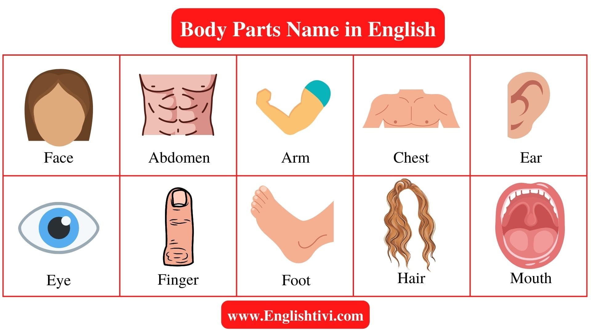 Body Parts Name in English with Pictures - Englishtivi