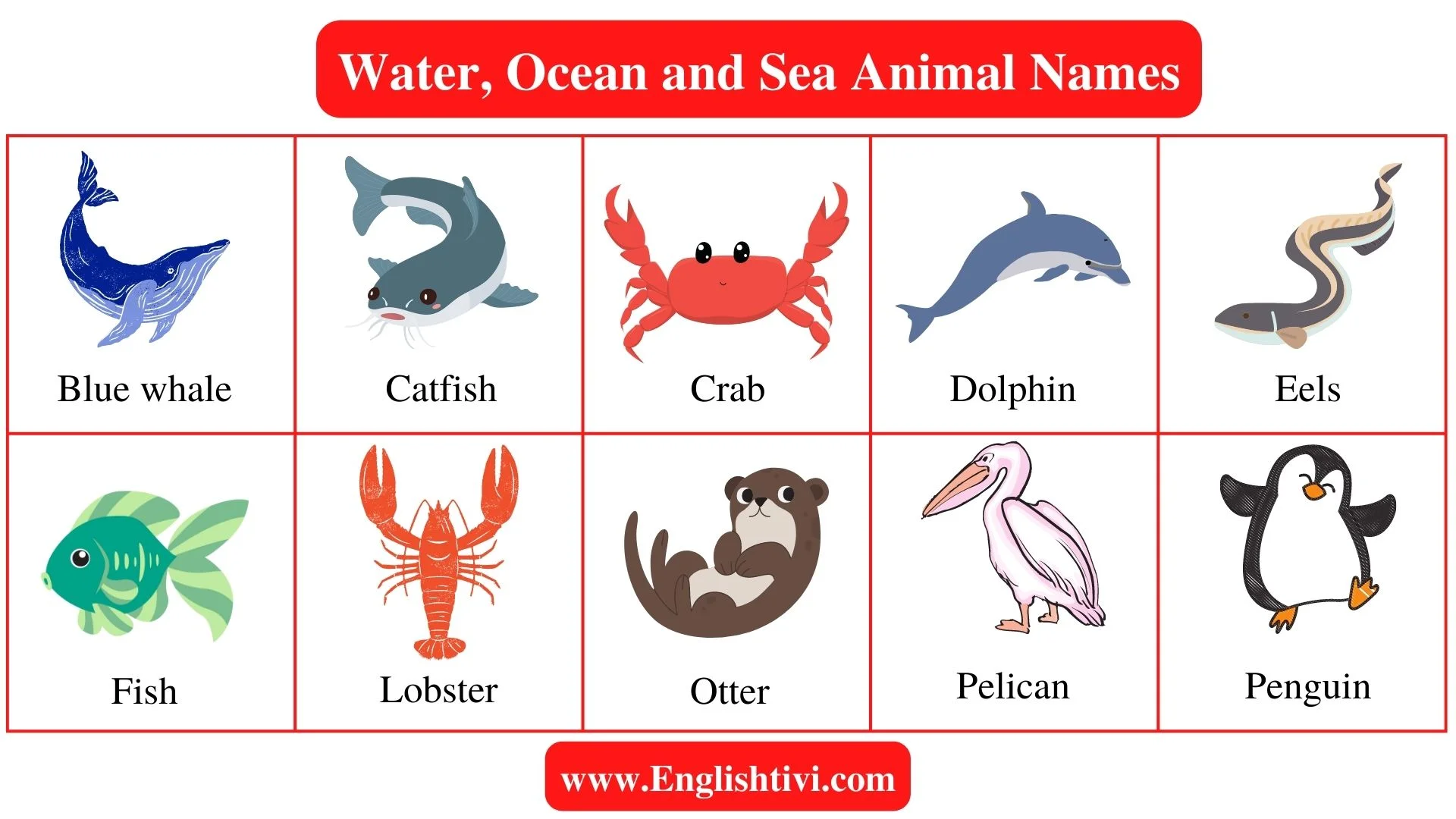 seashore animals name
