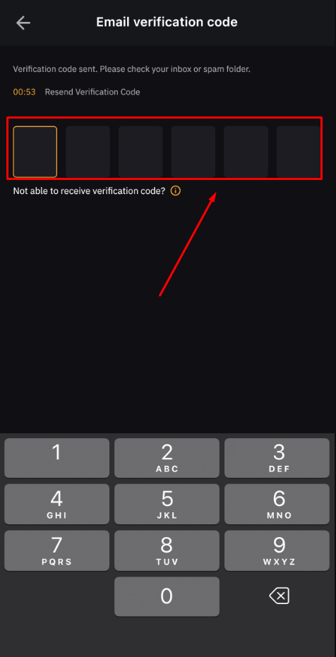 email verification code bybit app