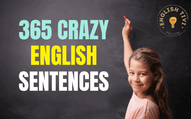 365 Crazy English Sentences – Sentences of Daily Use