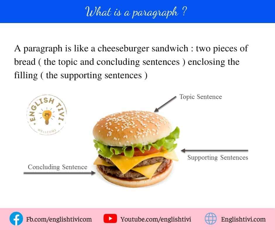A paragraph is like a cheeseburger sandwich