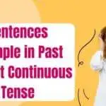 sentences-in-past-perfect-continuous-tense