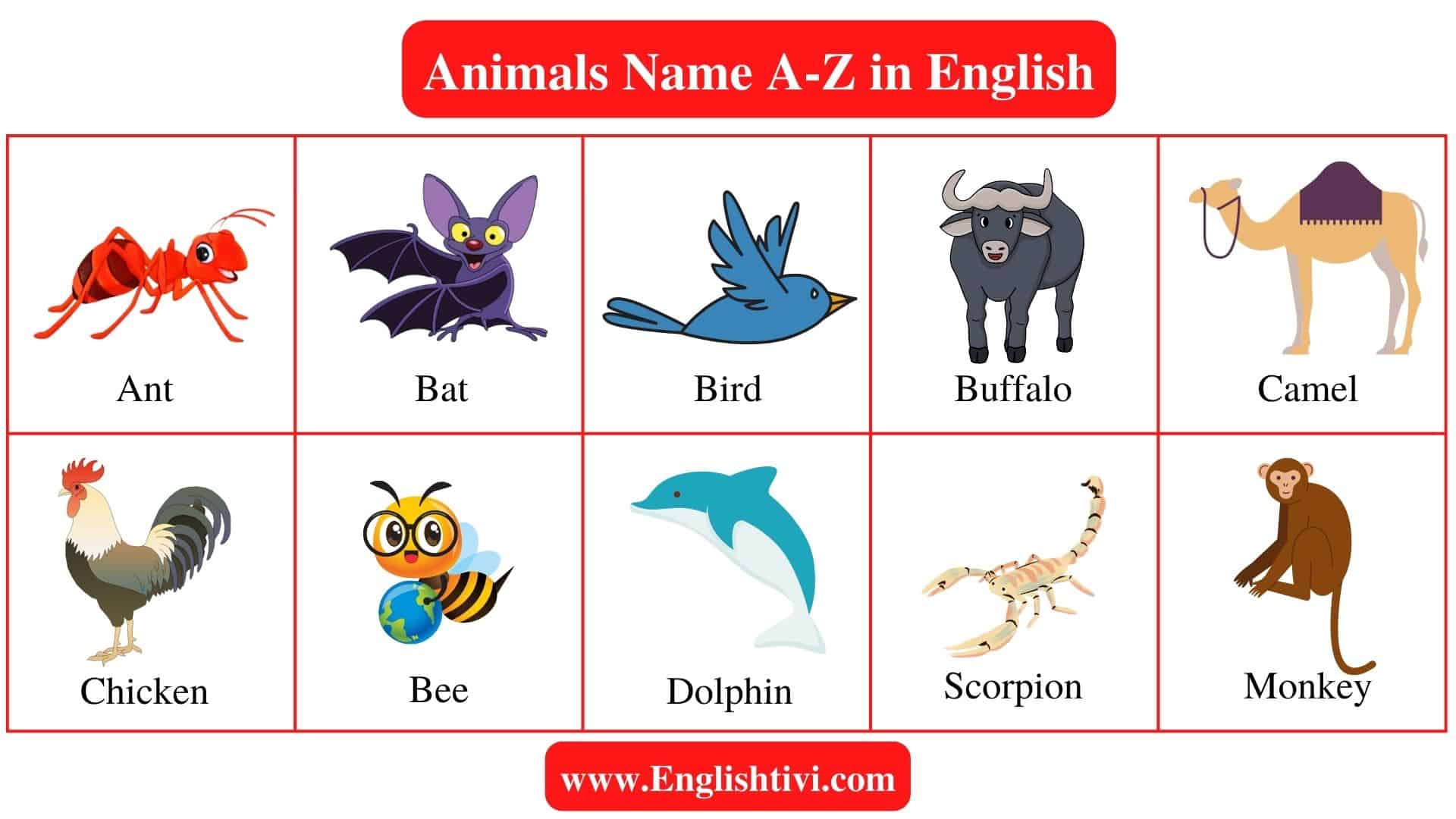 Animals Name: List of Animals Name A-Z in English - Englishtivi