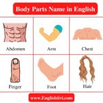 body-parts-name-in-english
