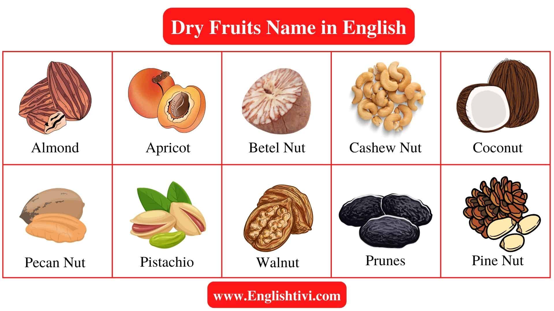Dry Fruits Name in English with Pictures - Englishtivi