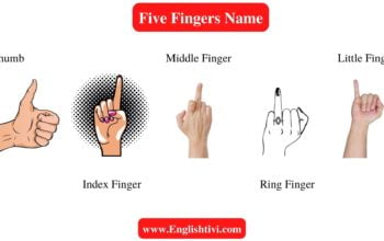 five-fingers-name