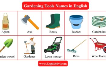 gardening-tools-names