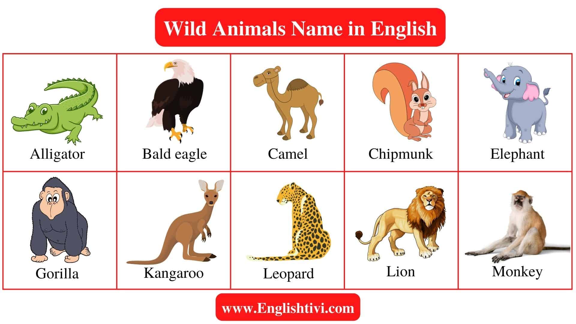 Wild Animals Name in English with Pictures - Englishtivi