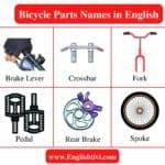 Bicycle Parts Names in English with Pictures