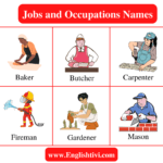 jobs-and-occupations-names-in-english-with-pictures