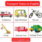 transport-names-in-english