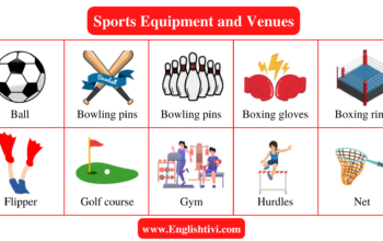 sports-equipment-and-venues