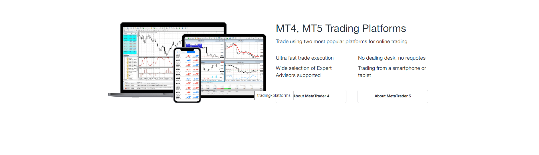 AMarkets Trading Platforms